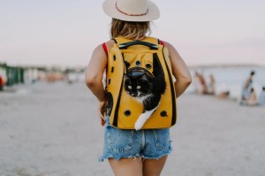 young-woman-with-cat-backpack