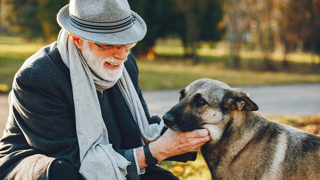 Îngrijirea animalelor vârstnice și cu dizabilități